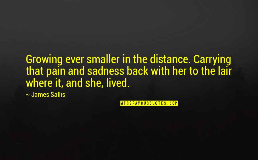 Pain And Sadness Quotes By James Sallis: Growing ever smaller in the distance. Carrying that