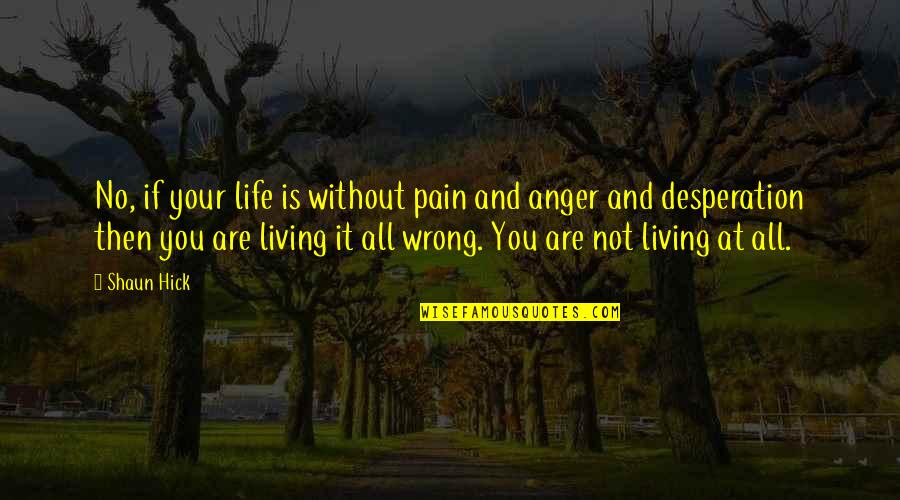 Pain Anger Quotes By Shaun Hick: No, if your life is without pain and