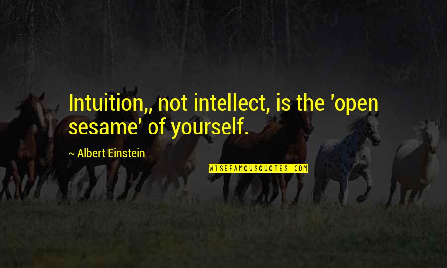 Pain Doesnt Last Forever Quote Quotes By Albert Einstein: Intuition,, not intellect, is the 'open sesame' of Pain Doesnt Last Forever Quote Quotes By Albert Einstein: Intuition,, not intellect, is the 'open sesame' of