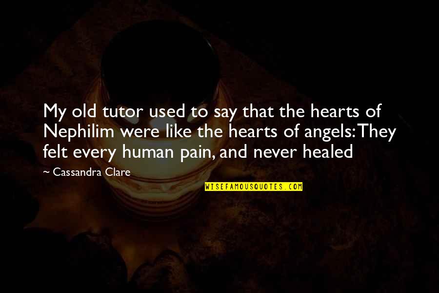 Pain Felt Quotes By Cassandra Clare: My old tutor used to say that the