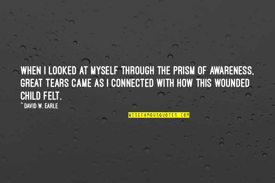 Pain Felt Quotes By David W. Earle: When I looked at myself through the prism