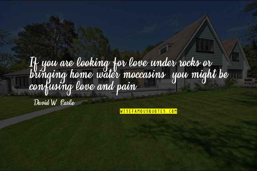 Pain From Family Quotes By David W. Earle: If you are looking for love under rocks
