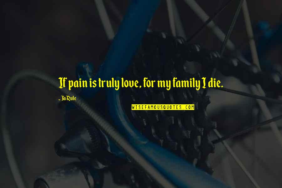 Pain From Family Quotes By Ja Rule: If pain is truly love, for my family
