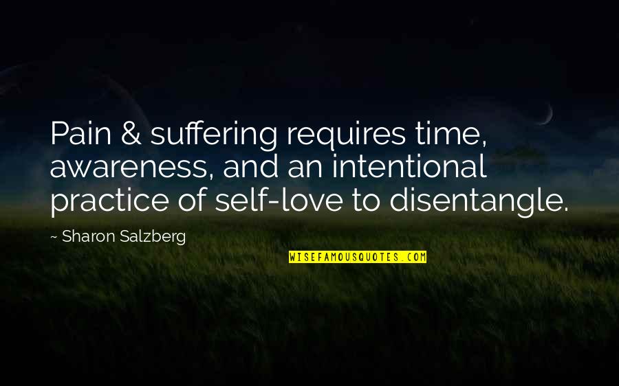 Pain Healing Quotes By Sharon Salzberg: Pain & suffering requires time, awareness, and an