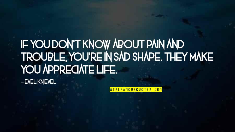 Pain In Life Quotes By Evel Knievel: If you don't know about pain and trouble,