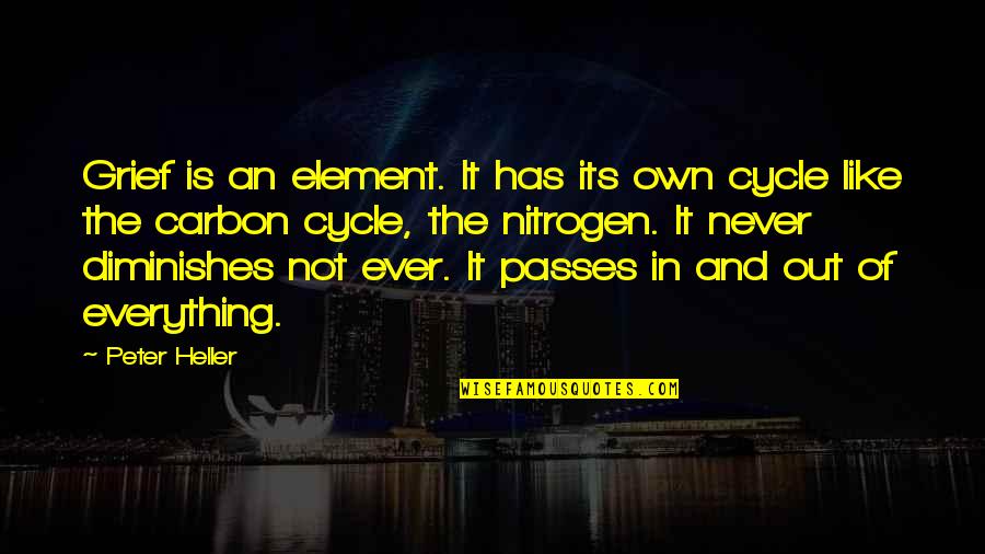 Pain In Life Quotes By Peter Heller: Grief is an element. It has its own