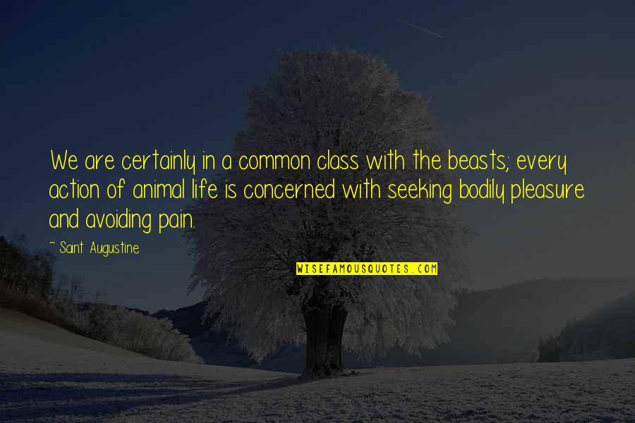 Pain In Life Quotes By Saint Augustine: We are certainly in a common class with