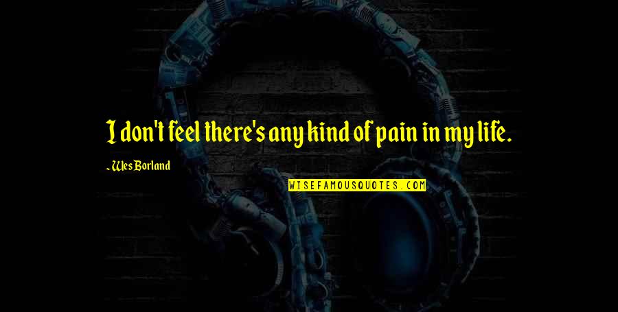 Pain In Life Quotes By Wes Borland: I don't feel there's any kind of pain