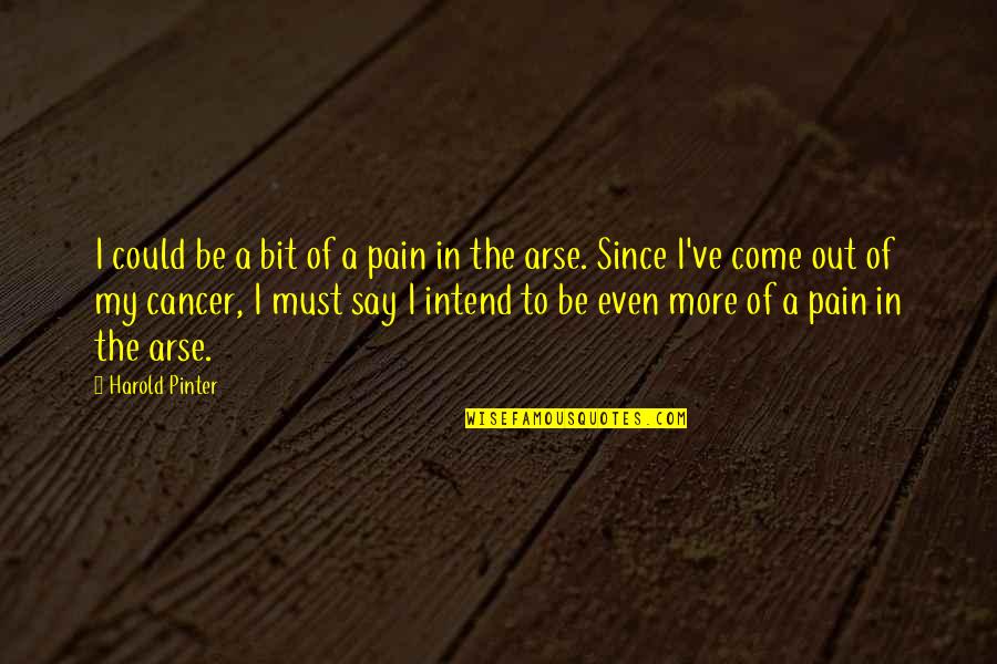 Pain In The Arse Quotes By Harold Pinter: I could be a bit of a pain