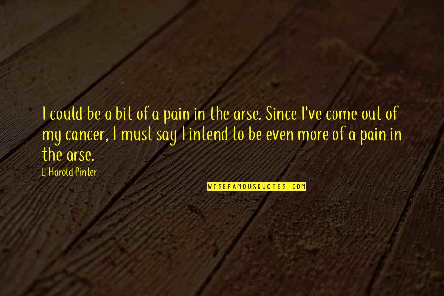 Pain In The Arse Quotes By Harold Pinter: I could be a bit of a pain Pain In The Arse Quotes By Harold Pinter: I could be a bit of a pain