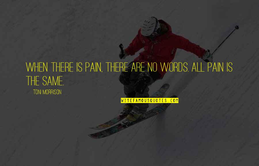 Pain In Words Quotes By Toni Morrison: When there is pain, there are no words. Pain In Words Quotes By Toni Morrison: When there is pain, there are no words.