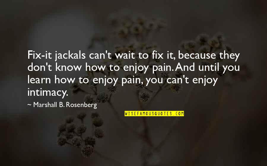 Pain Is All I Know Quotes By Marshall B. Rosenberg: Fix-it jackals can't wait to fix it, because