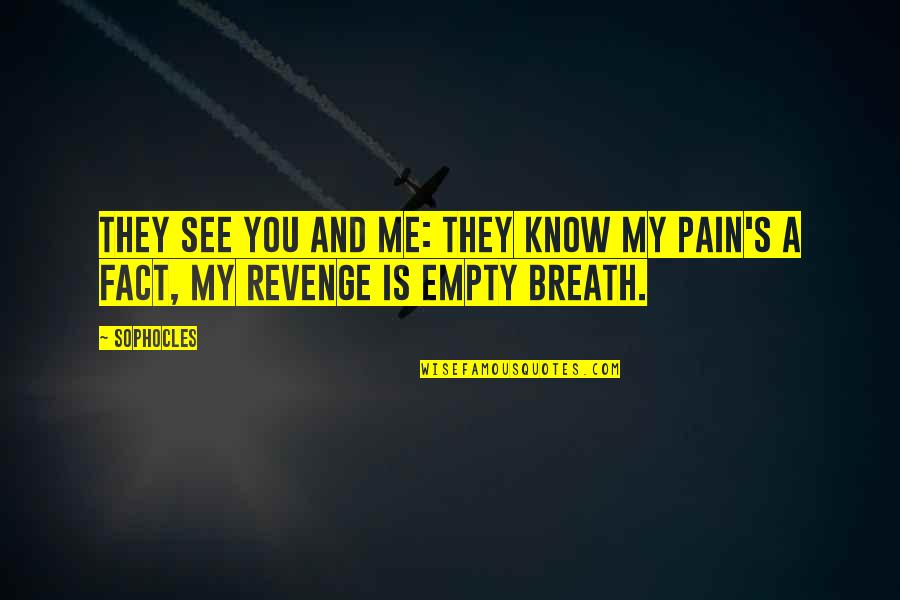 Pain Is All I Know Quotes By Sophocles: They see you and me: they know my