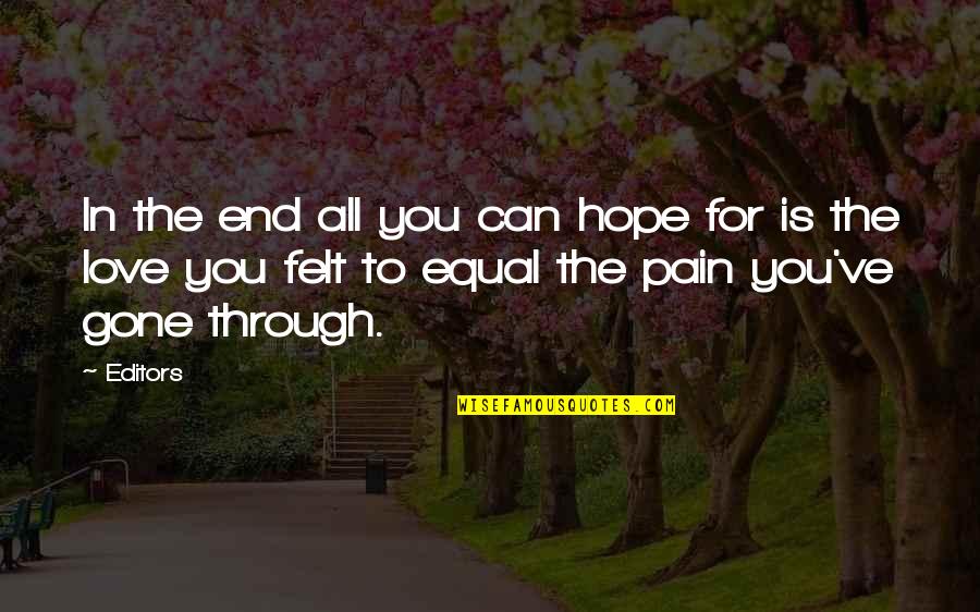 Pain Is Gone Quotes By Editors: In the end all you can hope for