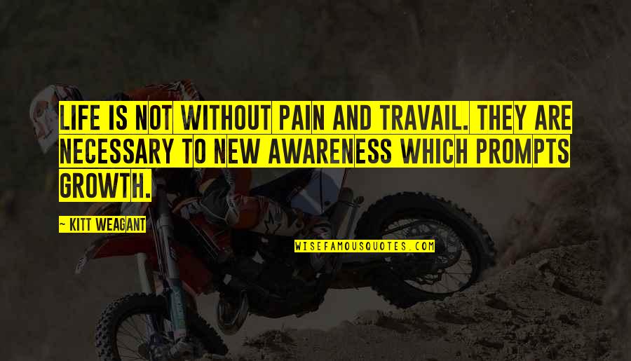 Pain Is Necessary Quotes By Kitt Weagant: Life is not without pain and travail. They