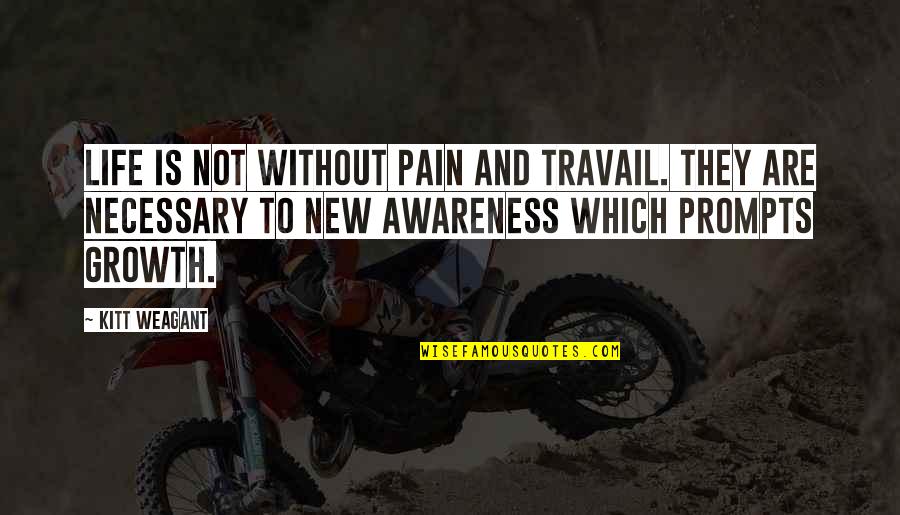 Pain Motivation Quotes By Kitt Weagant: Life is not without pain and travail. They