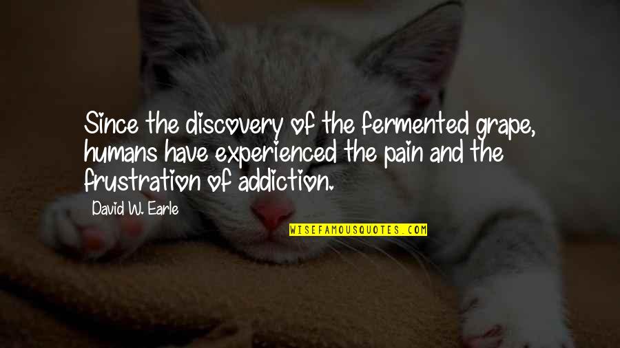 Pain Of Addiction Quotes By David W. Earle: Since the discovery of the fermented grape, humans