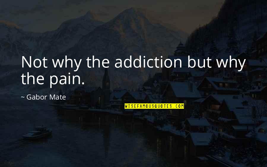 Pain Of Addiction Quotes By Gabor Mate: Not why the addiction but why the pain.