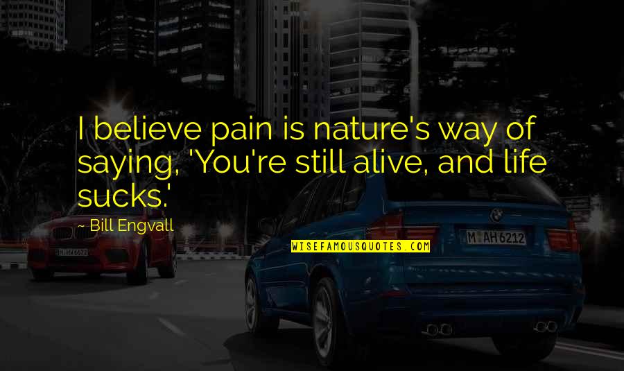 Pain Of Life Quotes By Bill Engvall: I believe pain is nature's way of saying,