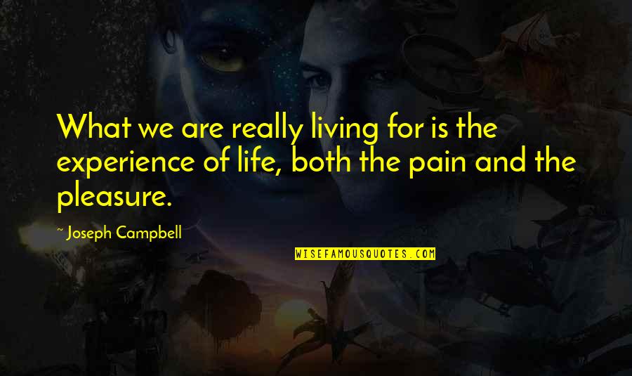 Pain Of Life Quotes By Joseph Campbell: What we are really living for is the
