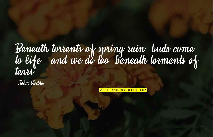 Pain Of Love Quotes By John Geddes: Beneath torrents of spring rain, buds come to