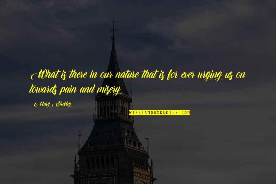 Pain Of The Misery Quotes By Mary Shelley: What is there in our nature that is