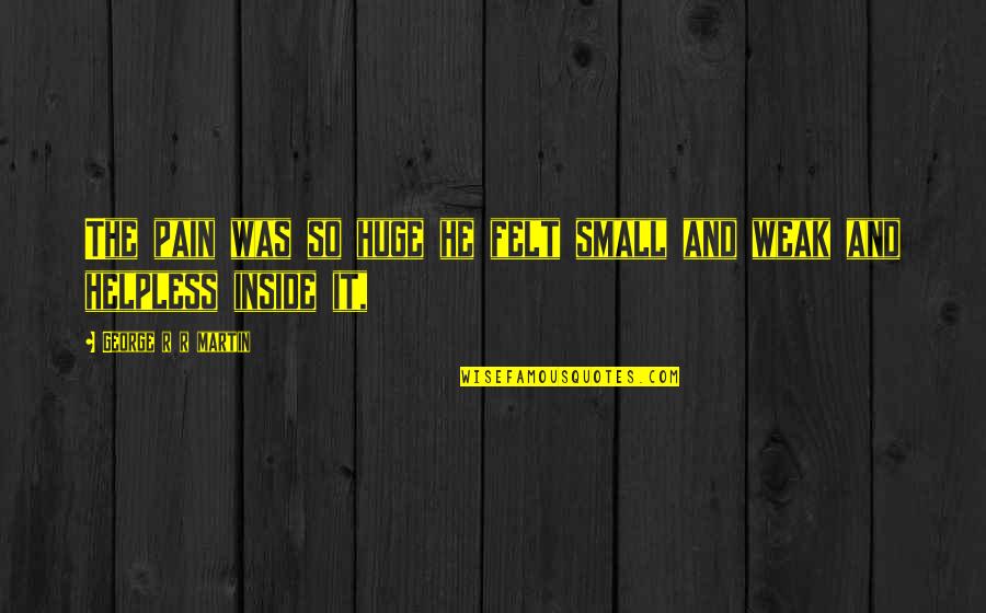 Pain On The Inside Quotes By George R R Martin: The pain was so huge he felt small Pain On The Inside Quotes By George R R Martin: The pain was so huge he felt small
