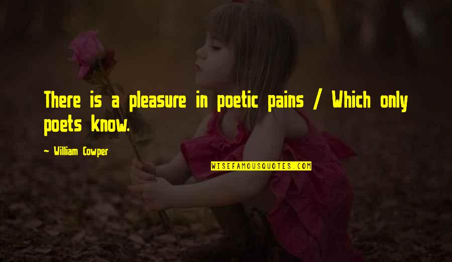 Pain Poetry Quotes By William Cowper: There is a pleasure in poetic pains /