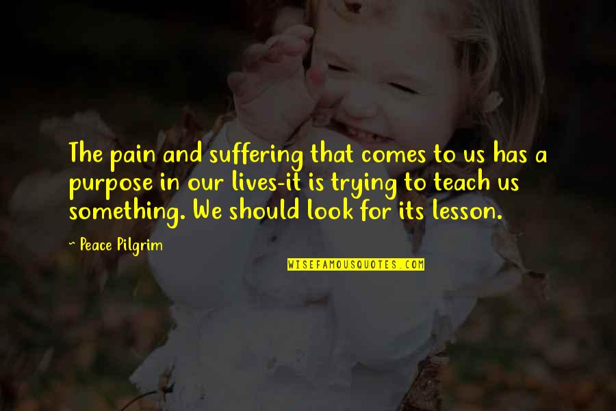 Pain Purpose Quotes By Peace Pilgrim: The pain and suffering that comes to us Pain Purpose Quotes By Peace Pilgrim: The pain and suffering that comes to us