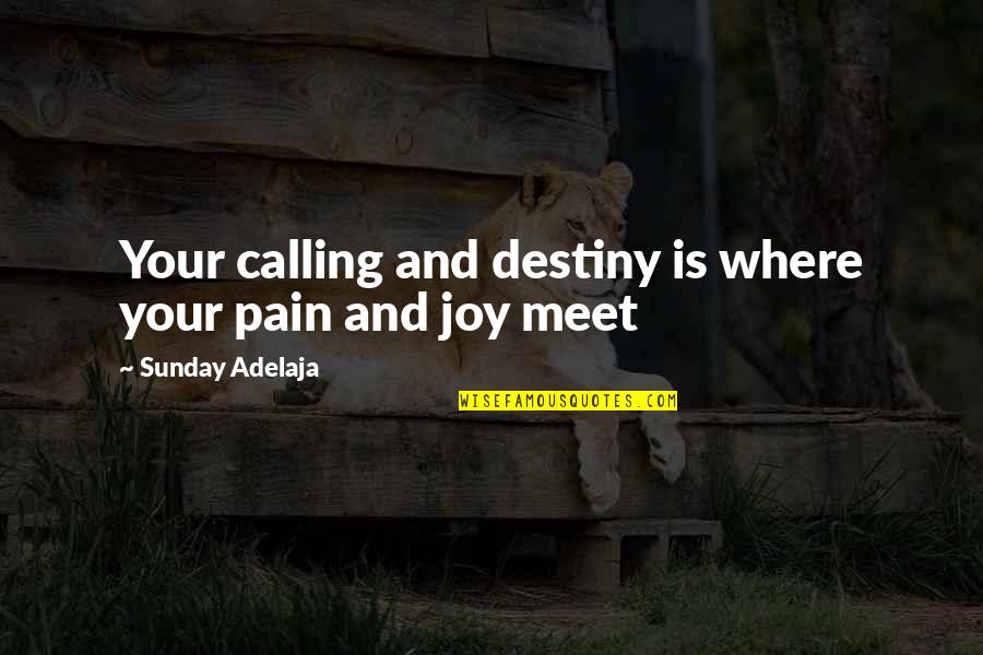 Pain Purpose Quotes By Sunday Adelaja: Your calling and destiny is where your pain Pain Purpose Quotes By Sunday Adelaja: Your calling and destiny is where your pain