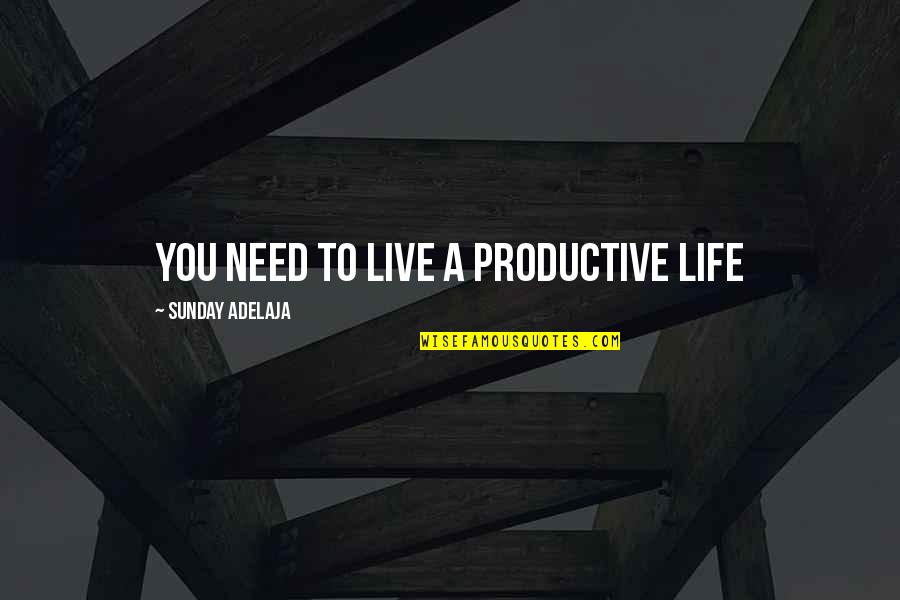 Pain Reliever Quotes By Sunday Adelaja: You need to live a productive life