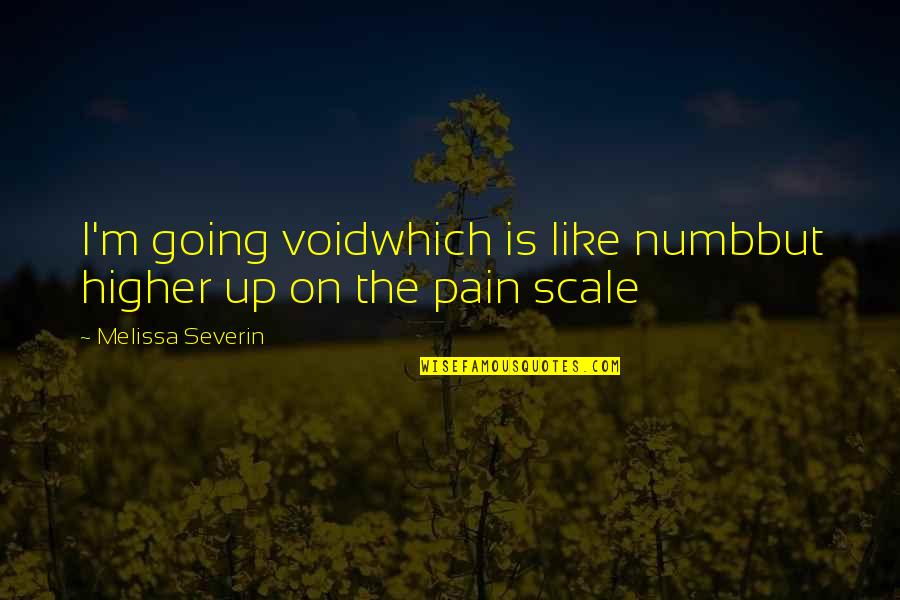 Pain Scale Quotes By Melissa Severin: I'm going voidwhich is like numbbut higher up