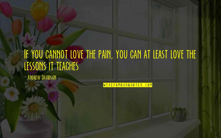 Pain Teaches Us Lessons Quotes By Andrew Davidson: If you cannot love the pain, you can