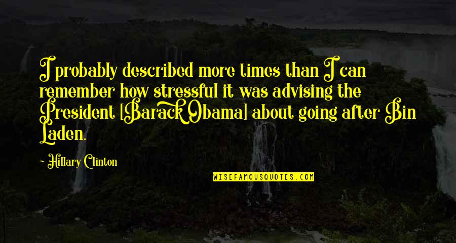 Pain When Sitting Quotes By Hillary Clinton: I probably described more times than I can Pain When Sitting Quotes By Hillary Clinton: I probably described more times than I can