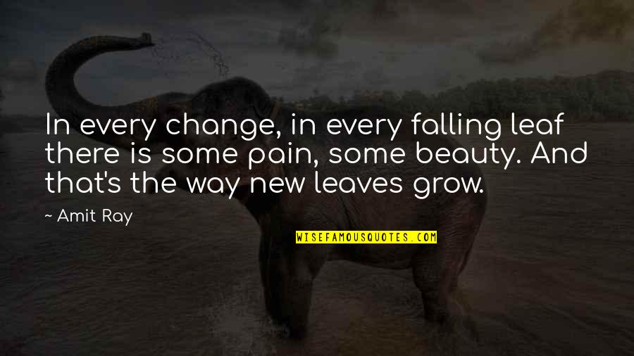 Painful Life Quotes By Amit Ray: In every change, in every falling leaf there