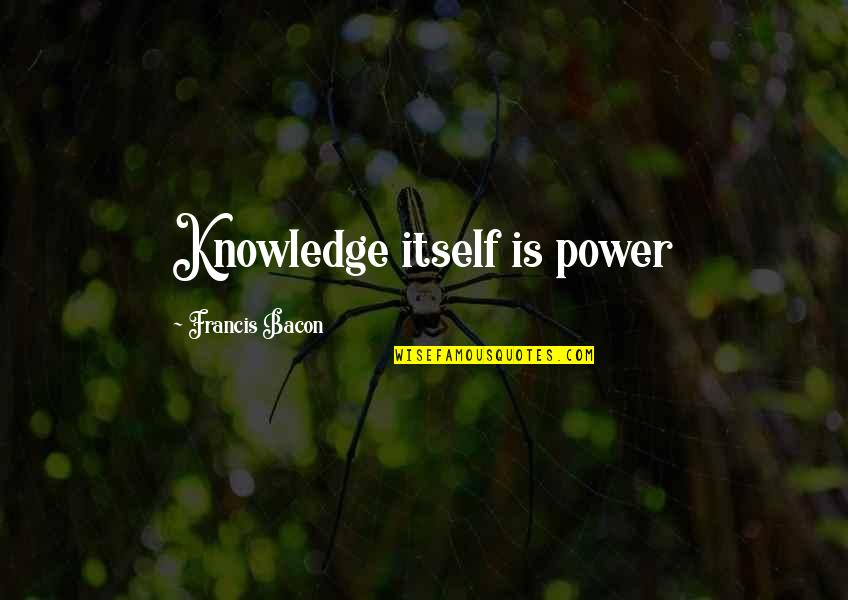 Pains And Hurts Quotes By Francis Bacon: Knowledge itself is power