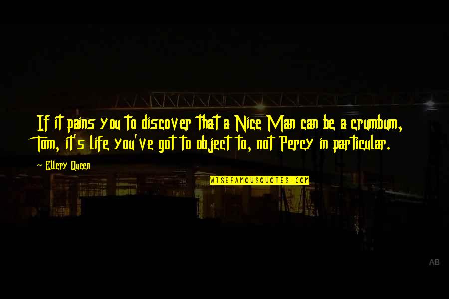 Pains In Life Quotes By Ellery Queen: If it pains you to discover that a