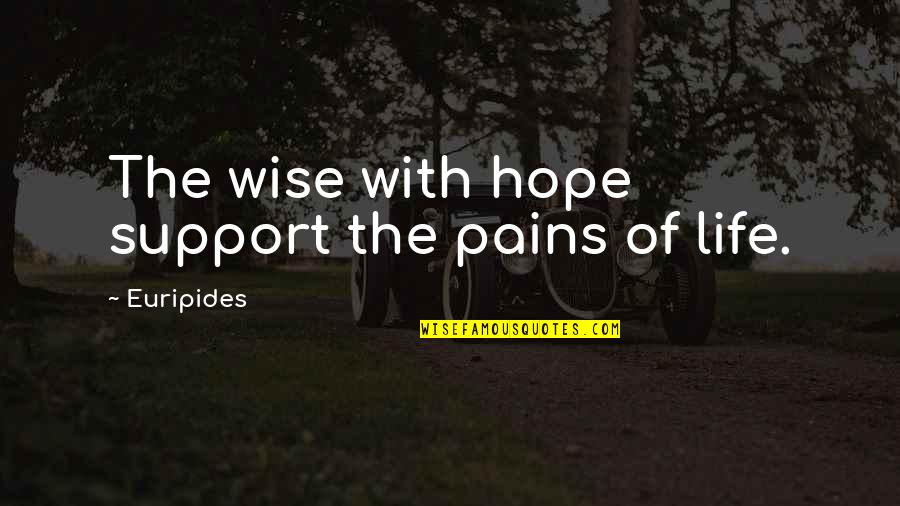 Pains In Life Quotes By Euripides: The wise with hope support the pains of