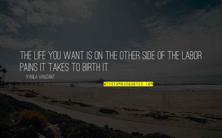 Pains In Life Quotes By Iyanla Vanzant: The life you want is on the other