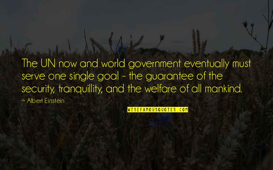 Paint And Decorator Quotes By Albert Einstein: The UN now and world government eventually must