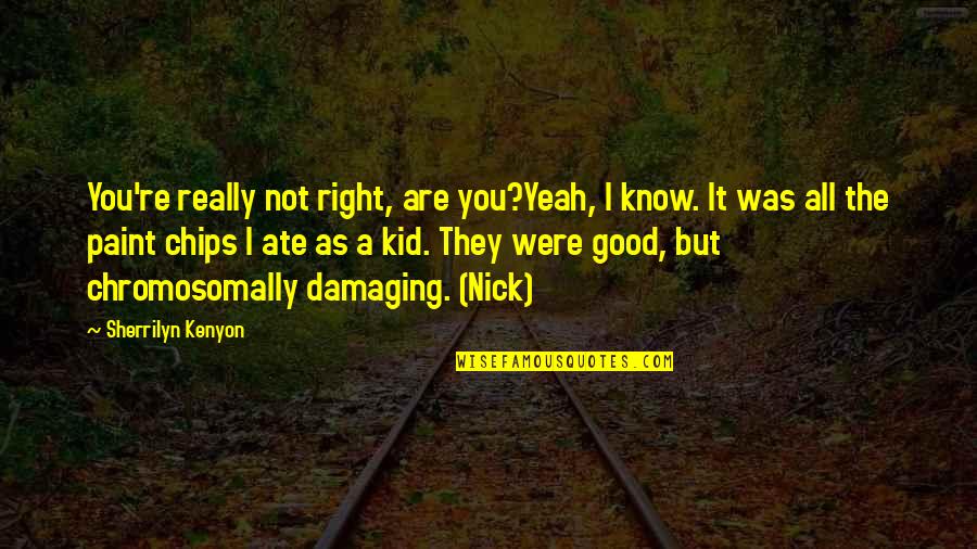 Paint Chips Quotes By Sherrilyn Kenyon: You're really not right, are you?Yeah, I know.