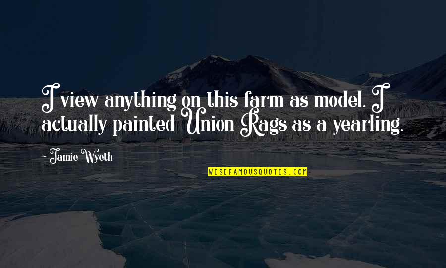 Painted On Quotes By Jamie Wyeth: I view anything on this farm as model.