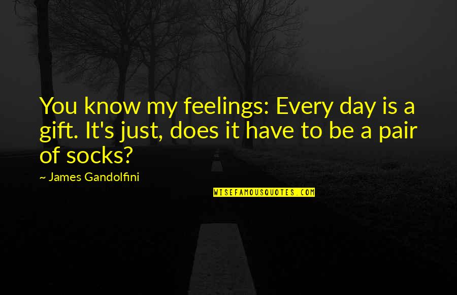 Pairs Quotes By James Gandolfini: You know my feelings: Every day is a