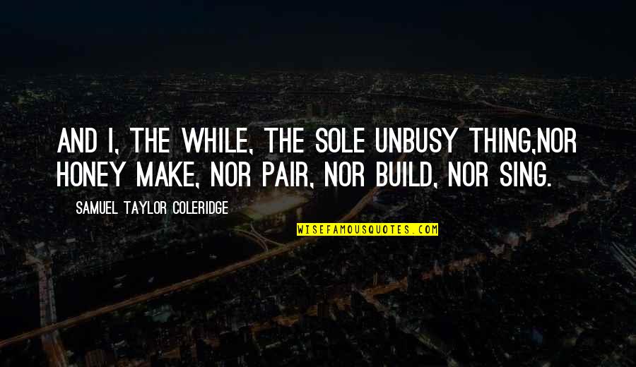 Pairs Quotes By Samuel Taylor Coleridge: And I, the while, the sole unbusy thing,Nor