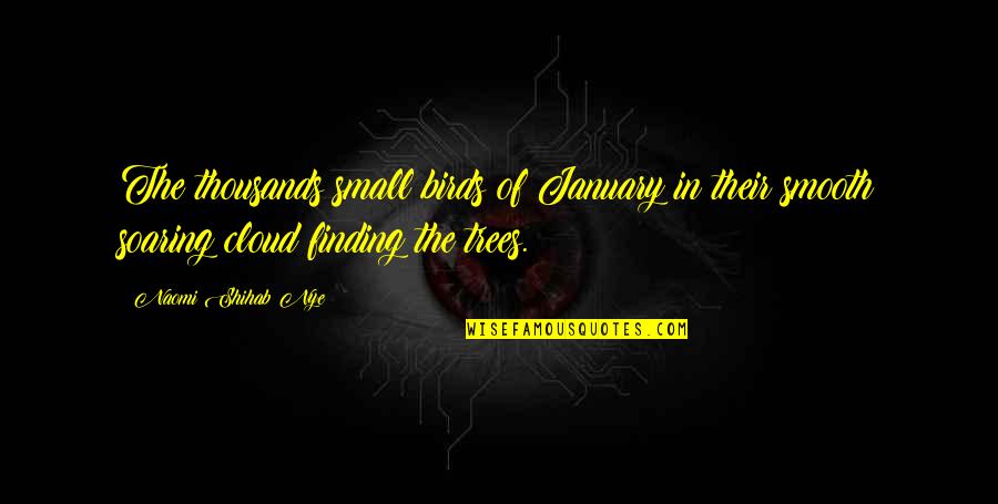 Paisible Dictionnaire Quotes By Naomi Shihab Nye: The thousands small birds of January in their Paisible Dictionnaire Quotes By Naomi Shihab Nye: The thousands small birds of January in their