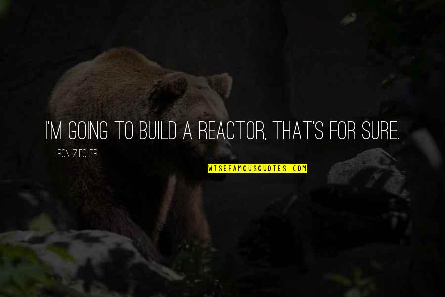 Pajaritos Para Quotes By Ron Ziegler: I'm going to build a reactor, that's for
