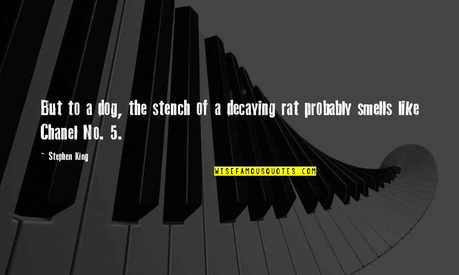 Pakeeza Rizvi Quotes By Stephen King: But to a dog, the stench of a