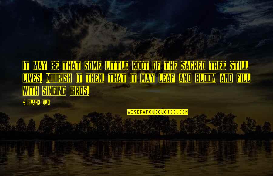 Pakhi And Anshuman Quotes By Black Elk: It may be that some little root of