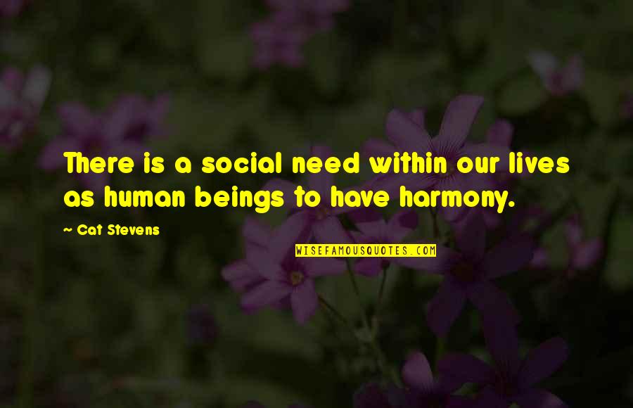 Pakibook Quotes By Cat Stevens: There is a social need within our lives