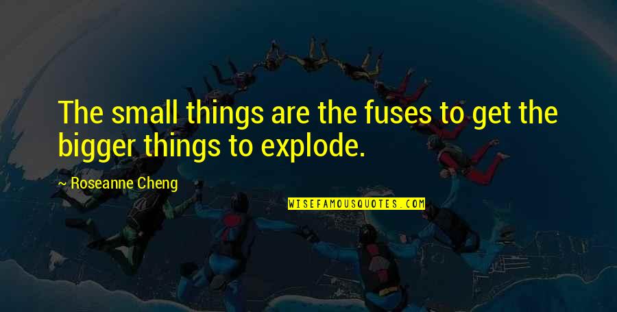 Palags Ar Quotes By Roseanne Cheng: The small things are the fuses to get